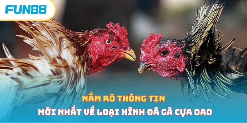 Đá Gà Cựa Dao - Loại Hình Cá Cược Hấp Dẫn Vạn Người Mê Tổng quan về đá gà cựa dao