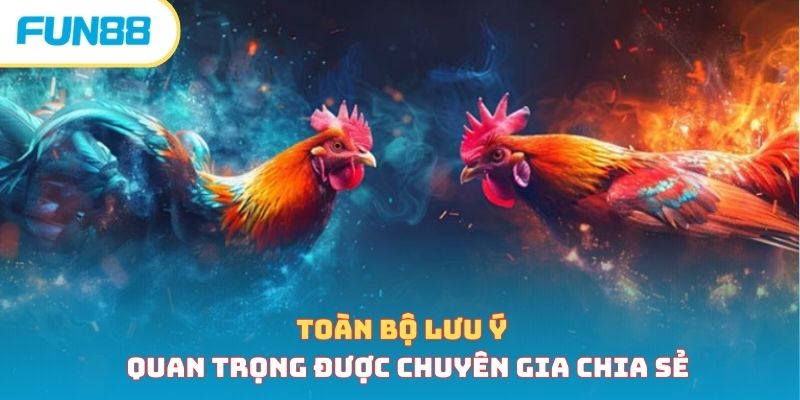 Cách Nuôi Gà Đá - Bí Quyết Nuôi Chiến Kê Hiệu Quả Nhất 2026 Lưu ý quan trọng trong cách nuôi gà đá